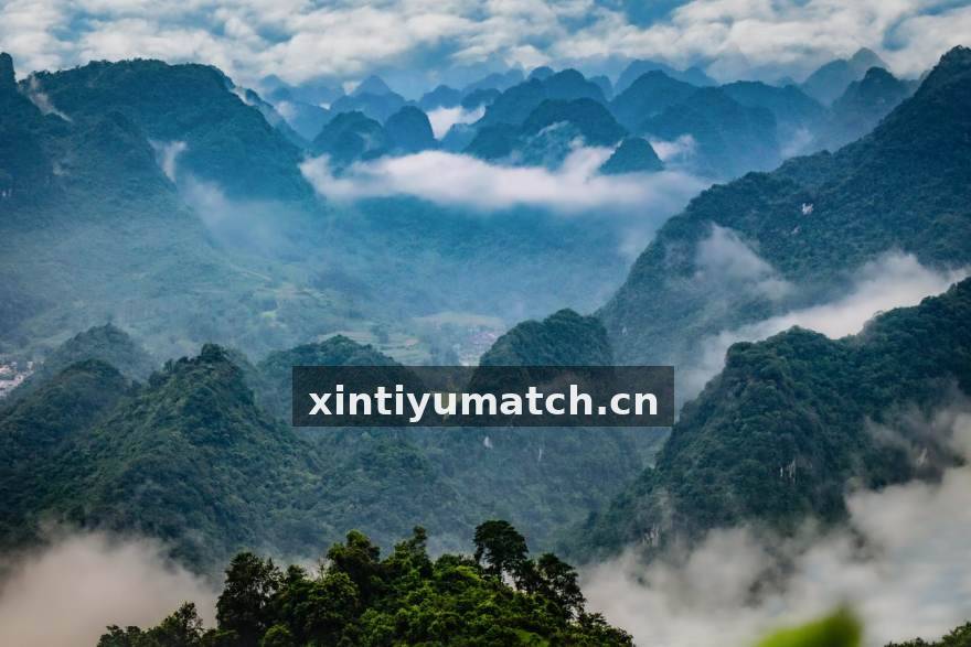 新体育积分排名与赛程密度分析配图